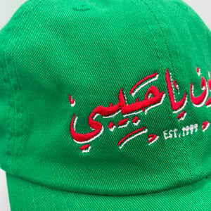 YHM FRESH MINT - DAD HAT